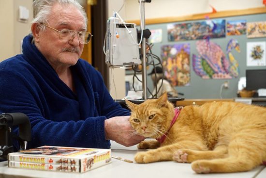 Mews and Nips: Meows for Navy Program Helps Hospitalized Veterans  Mews and Nips: Meows for Navy Program Helps Hospitalized Veterans meows for military veteran with cat 2 e1549538270226